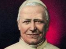 Papst Pius IX, mehr über das 1. Vatikanische Konzil und die Unfehlbarkeitslehre