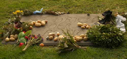 Grabplatte von Friedrich II. von Preußen mit Blumen und Kartoffeln und mit der Inschrift „Friedrich der Große“ im Garten von Schloss Sanssouci