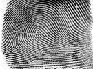 Polizei setzt zum 1. Mal Fingerabdrücke für polizeiliche Ermittlungen ein, 1903