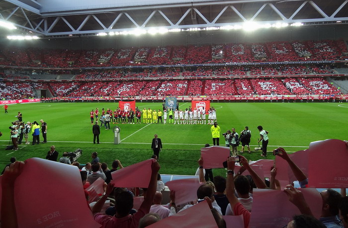 Grand Stade Lille Métropole