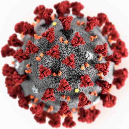 Corona-Virus, 3D-Grafik des SARS-CoV-2-Virions