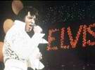 mehr bei uns über Leben und Tod von Elvis Presley 