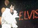 Elvis