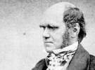 Kalenderblatt zum 200. Geburtstag von Charles Darwin