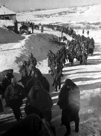 Februar 1943: Eine Kolonne deutscher Kriegsgefangener aus Stalingrad auf dem Marsch ins Gefangenenlager.