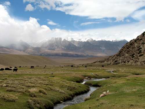Yangpachen Valley, Tibet 