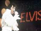 Zum 35. Todestag von Elvis Presley - "King of RocknRoll"