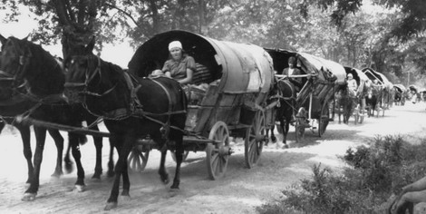1944: Vertriebene, die sogenannten Schwarzmeerdeutschen , fahren mit Pferdefuhrwerken Richtung Deutschland. 