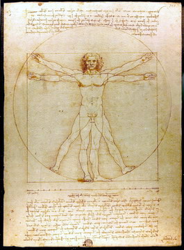 Der vitruvianische Mensch von Leonardo da Vinci,
