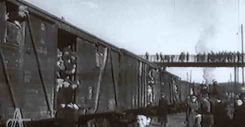 Ankunft von 600 Männern aus sowjetischer Kriegsgefangenschaft im hessischen Grenzort Herleshausen