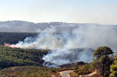 04.12.2010: Kampf gegen die Flammen im Karmel Hai-Bar Nationalpark, Haifa, Israel 